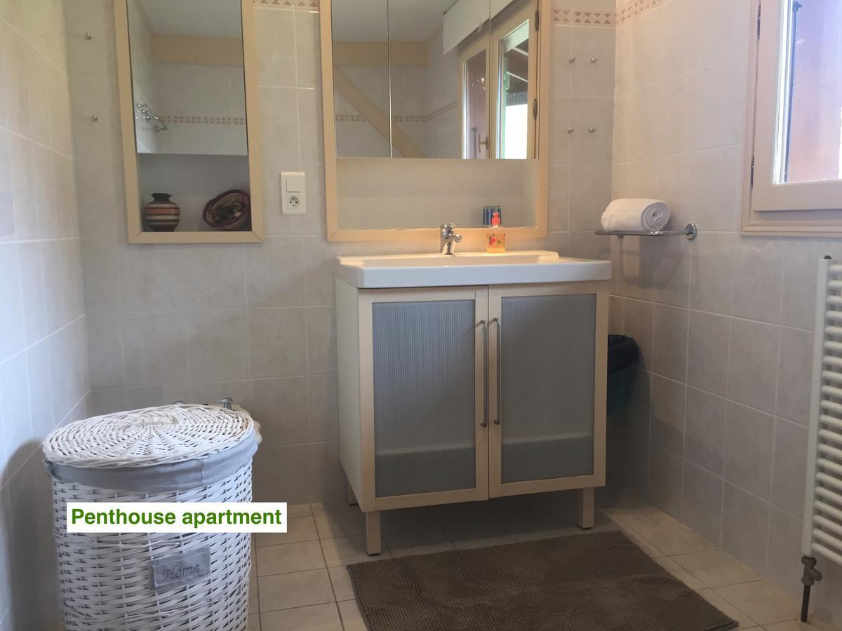 Le Green Chalet Villard-sur-Boege Exterior foto