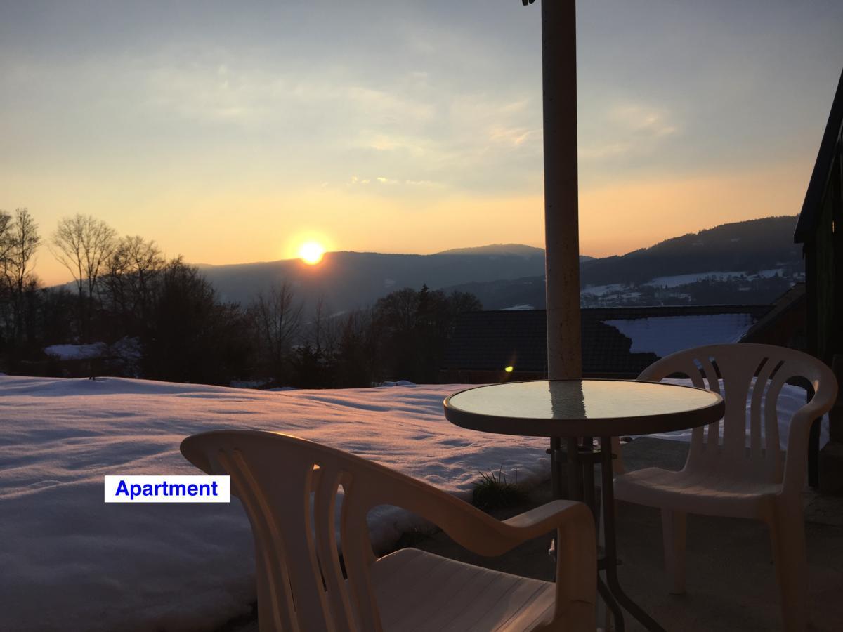 Le Green Chalet Villard-sur-Boege Exterior foto