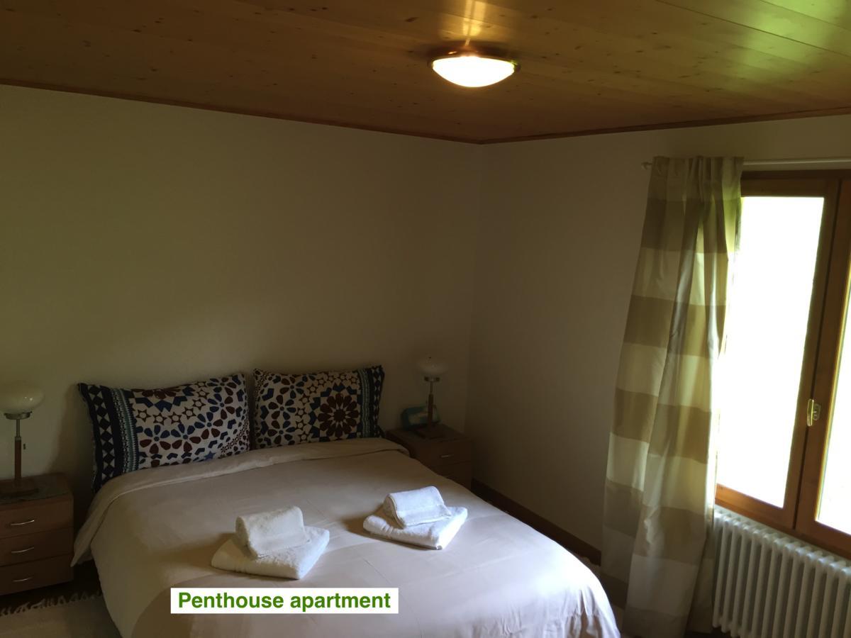 Le Green Chalet Villard-sur-Boege Exterior foto